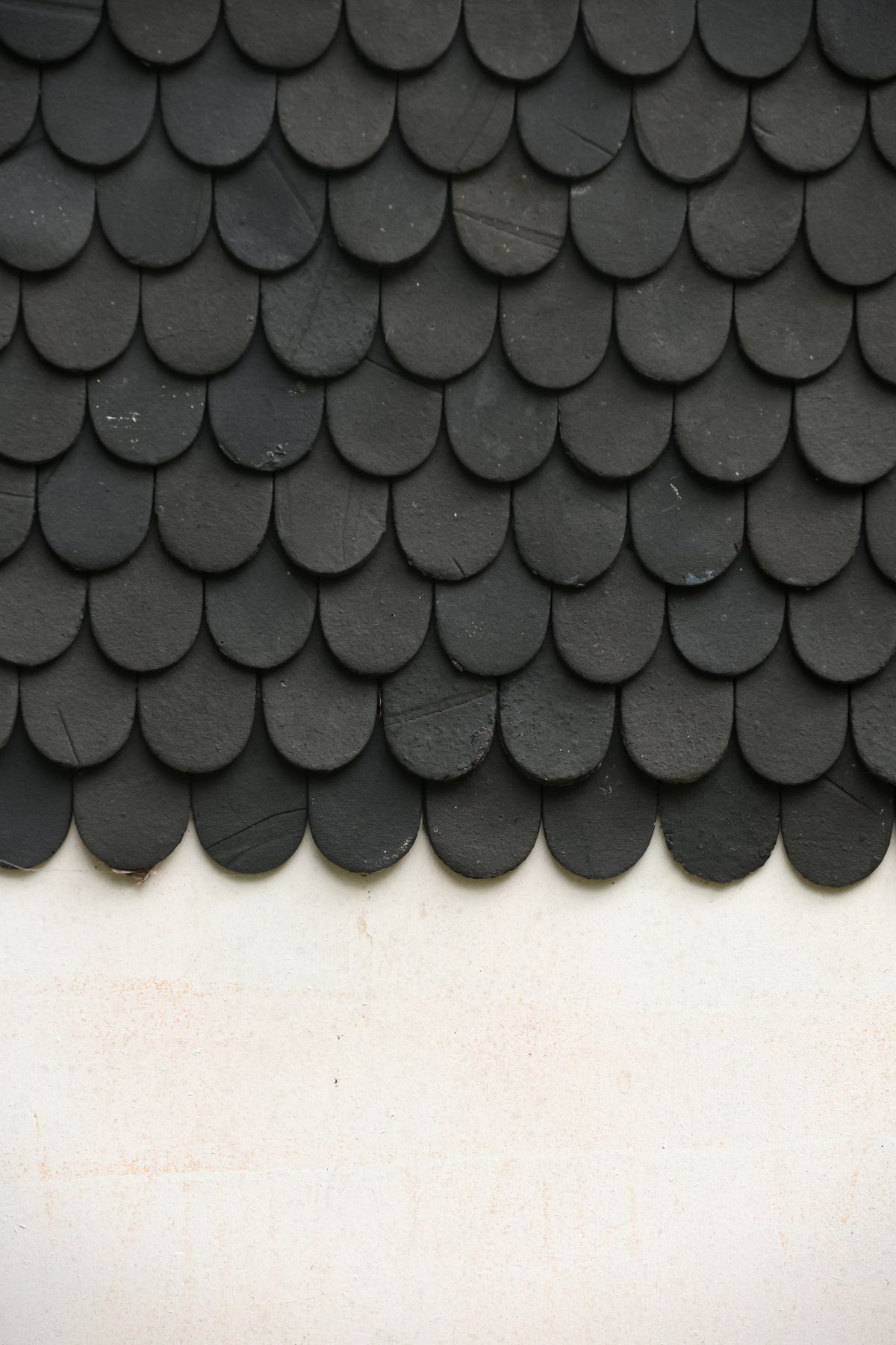 Close-up of black textured asphalt shingles